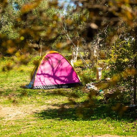Camping Panorama Hotel Ouazzane Exterior foto